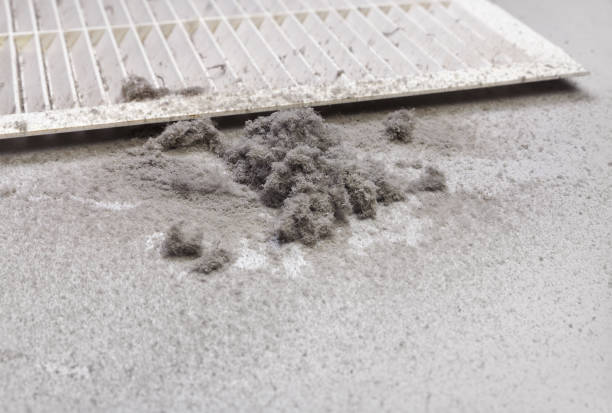 Best Air Duct Inspection  in Martha Lake, WA