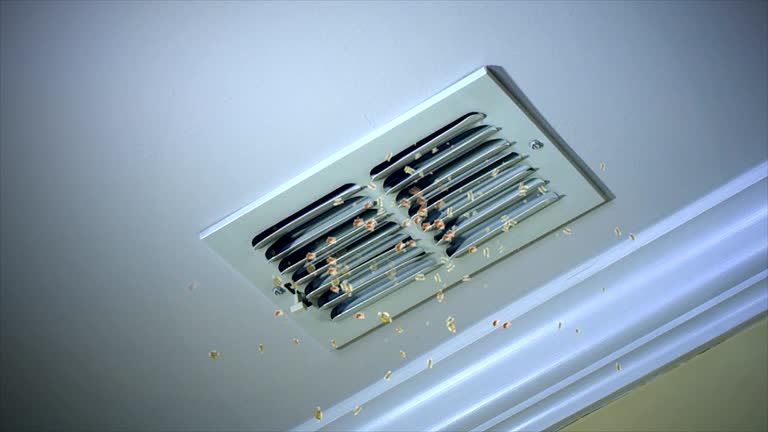 Best Professional Duct Cleaning Services  in Martha Lake, WA