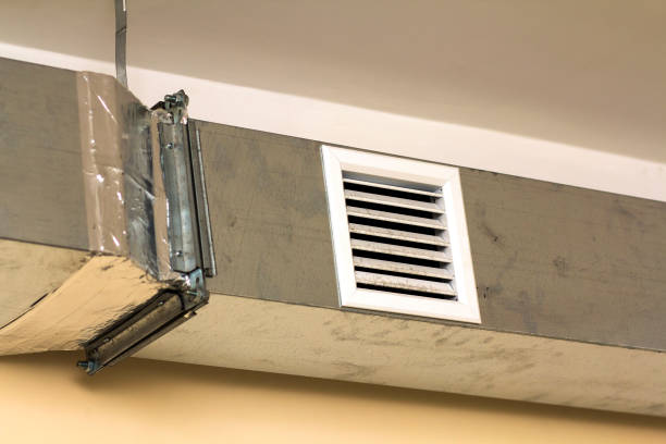 Best Affordable Duct Cleaning Services  in Martha Lake, WA